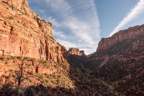 Hiking the Left Fork Trail to the Subway gorge, Zion National Park, USA