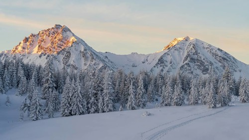 Winter landscape picture from tannheimer valley mountain pirschling and schönkahler with fresh snow