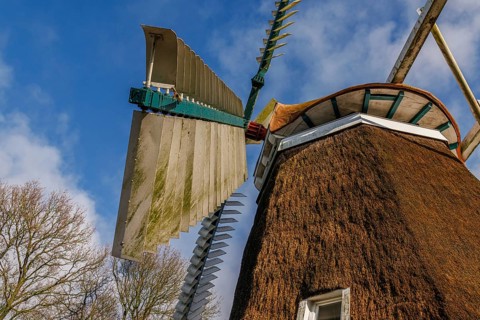 Windmill with large wings in front of a clear sky and surrounded by nature, burlage, east frisia,