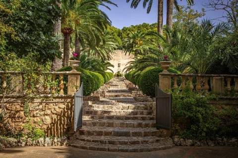 Stone steps lead through a Mediterranean garden with lush palm trees, Jardines de Alfabia, Bunyola,
