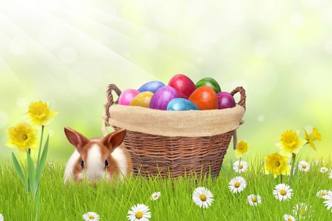 Easter Bunny