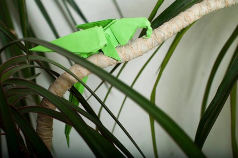 Parrot on a tree. Folded origami style. Paper made parrot