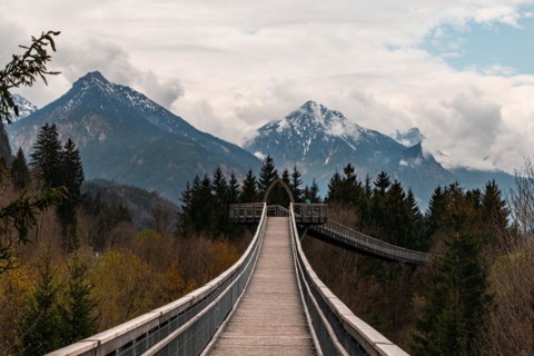 Treetop walk in Ziegelwies, a town near the border between Austria and Germany with views over the