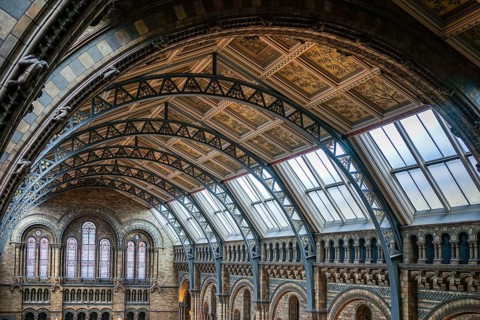 Ceiling detail of the Natural History Museum in London