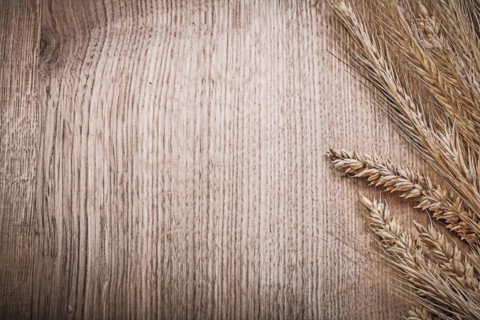 Wheat rye ears on wooden board copyspace food and drink concept