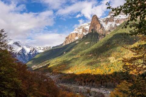Autumn forest on the Turieto road, Ordesa i Monte Perdido National Park, Province of Huesca, Aragon