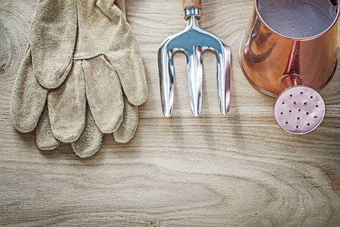 Vintage watering can trowel fork safety gloves on wooden board agriculture concept