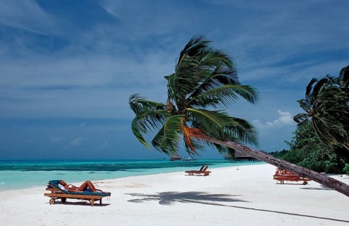 Beach on Maldives Island, Maldives, Indian Ocean, Medhufushi, Meemu Atoll