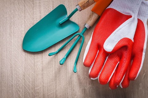 Rubber red safety gloves hand shovel and gardening rake on wooden board agriculture concept
