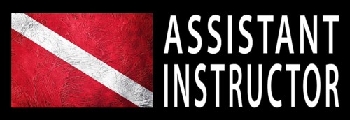 Assistant Instructor, Diver Down Flag, Scuba flag, Scuba Diving