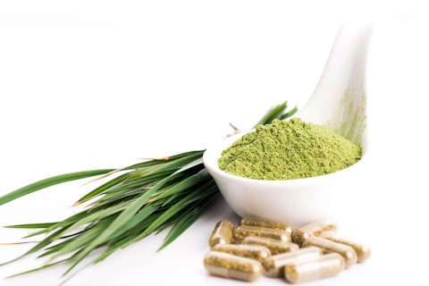 Young barley graß Detox superfood