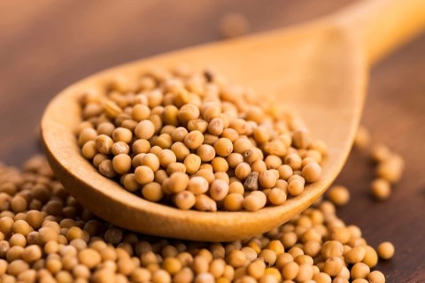 Sharp mustard seeds on a wooden background