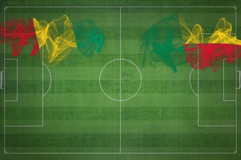 Guinea vs Benin Soccer Match, national colors, national flags, soccer field, football game,