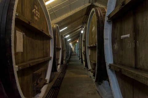 Sudak, Crimea, April 24, 2021: Oak barrels with wine in the cellars of the Solnechnaya Dolina