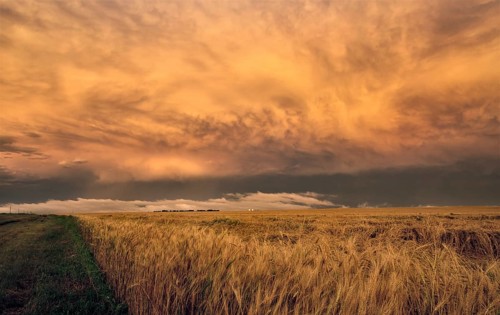 Storm Clouds Prairie Sky Canada Ominous danger