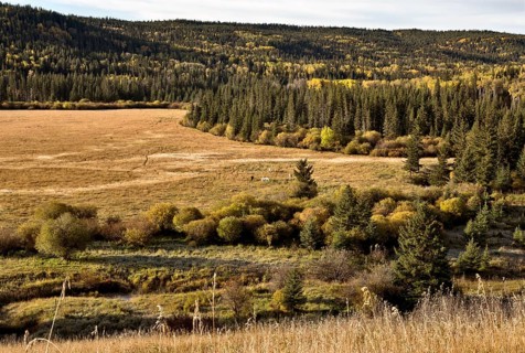 Autumn Colors Cypress Hills Canada interprovincial Park