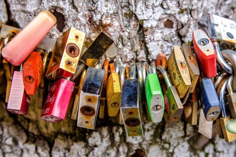 Colourful love locks around a tree trunk in a close up view of the padlocks against the park
