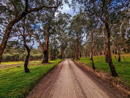 Australian rural country scene at the base of Kinglake near Arthurs Creek, Victoria, Australia