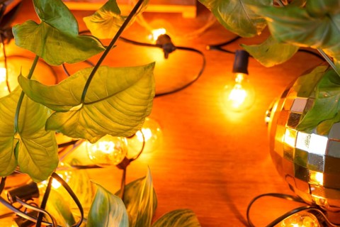 Wooden background with garland lamps and green leaves of a home potted plant and a glowing ball.