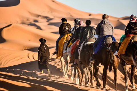 Group of people riding horses in desert