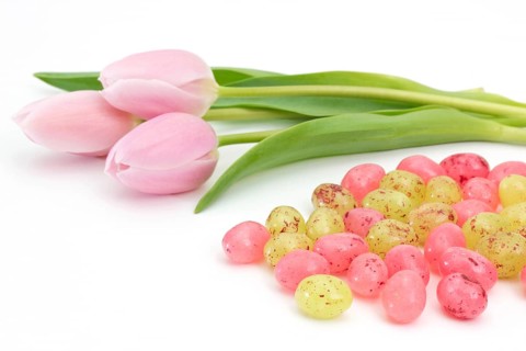 Jelly Easter eggs near pink tulips on white background Jelly Easter eggs near pink tulips on white
