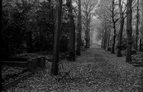 GDR, Berlin, 25.10.1987, Jewish cemetery Weißensee, autumn, avenue, chair
