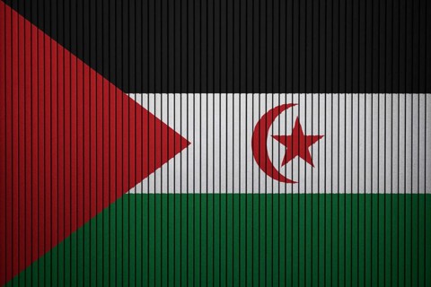 Western Sahara Flag painted on the cracked grunge concrete wall