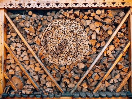 Logs of a tree. The sawn wood. The texture of the sawn wood