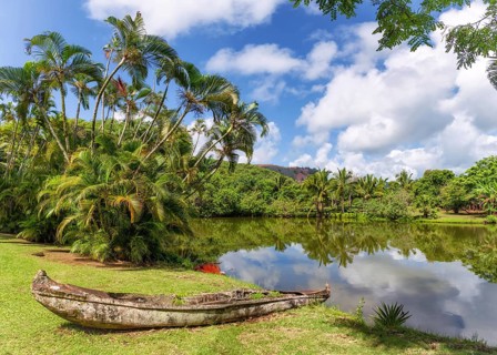 A forgotten canoe decays in the jungles of Kauai, Hawaii