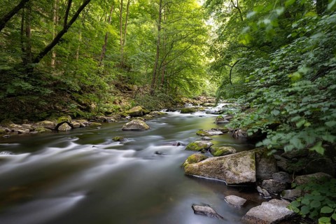 The Bode Valley in the Harz hiking paradise of Thale