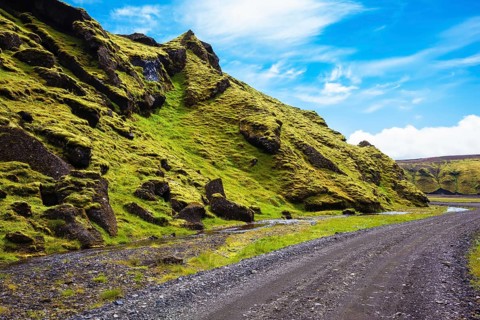 The summer blossoming Iceland. Canyon Pakgil - green grass and moss on fantastic rocks. On canyon