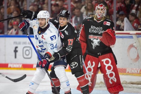 LanxessArena, Cologne, North Rhine-Westphalia, Jan-Luca Sennehnn (Cologne Sharks, #17), Tom