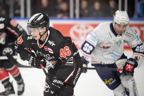 Cologne, LanxessArena, North Rhine-Westphalia, Kevin Niedenz (Cologne Sharks, #46), PENNY DEL,