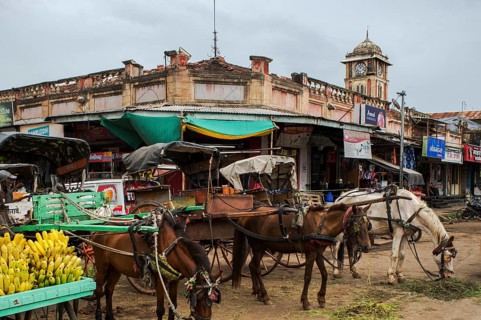 Tonga stand at Laxmi Market, Miraj, Maharashtra, India, Asia