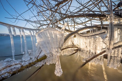Branches with shimmering icicles over the lake, Niederzell, Reichenau, Lake Constance,