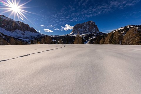 Sella Group and Sassolungo, South Tyrol, Italy