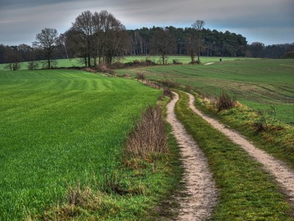 Landscape with green fields, a zigzag path and sky, Reken, münsterland, germany