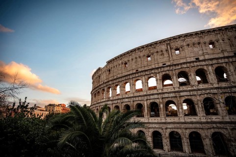 Colosseum in the evening light with palm trees in the foreground and blue sky, Rome
