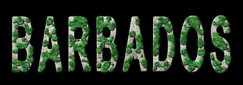 Barbados Reforestation and Climate Message, Sustainable Green Typography, Green Agenda