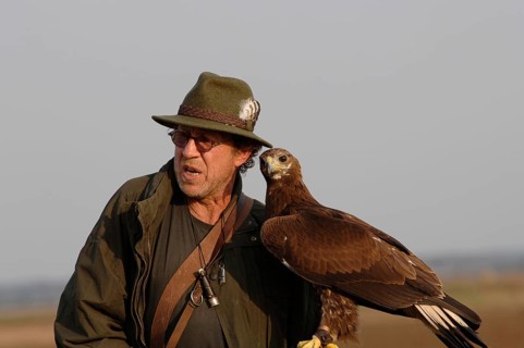 Falconer with golden eagle on his arm
