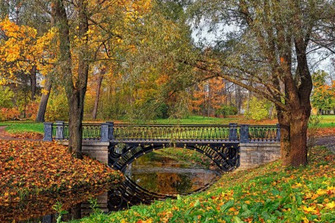 Autumn landscape in Catherine Park, Pushkin, Russia, view of the river and the bridge