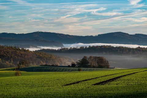 A hilly landscape shrouded in morning mist with green fields and forests in autumn light,