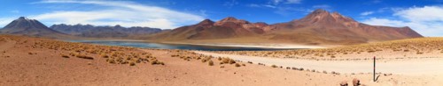 Laguna Miscanti in the Atacama Desert in Chile