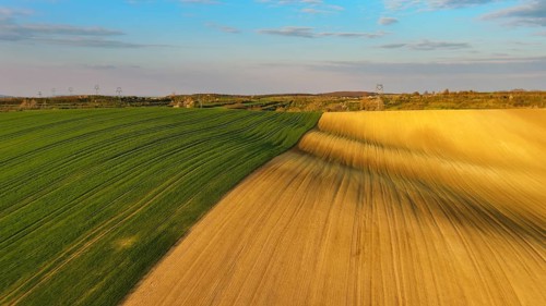 Aerial view of amazing green wavy hills with agricultural fields in evening spring. South Moravia