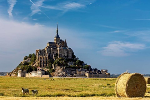 Mont Saint-Michel in a field with cows and bales of straw under a blue sky, Mont Saint Michel in