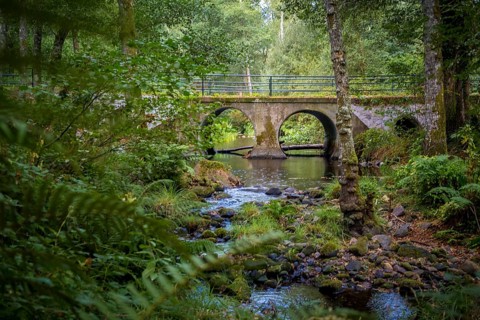 Bridge over the river Rego de Mera on the hiking trail Ruta Dos Muinos, near Lugo in Galicia, Spain