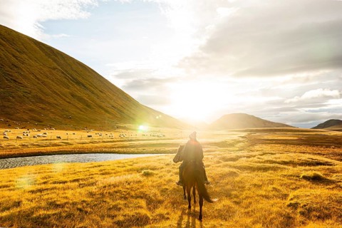 Regina Singelnstein on Icelandic horse, Skeida Op Gnüpverjahreppu on Landmanalaugar, Iceland