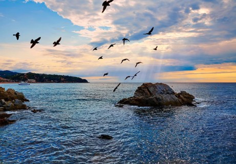 Lloret de Mar beach sunrise in costa Brava of Catalonia spain
