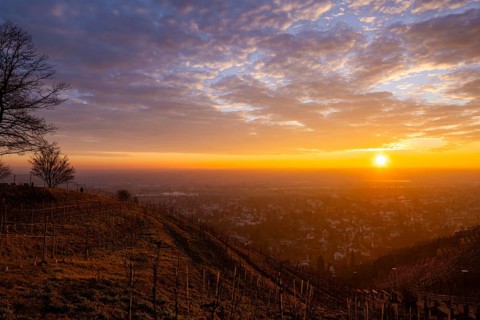 Sunset at the Bismarkturm, Radebeul, Saxony, Germany
