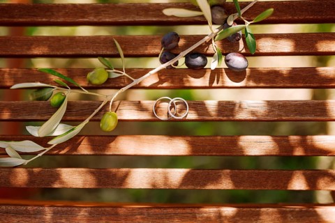 Top view of gold wedding rings on wooden planks with a sprig of olive tree with fruits in sunlight.